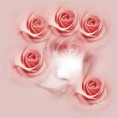 /album/a2%c2%ba%20cha%20das%20flores/pqaaao-yd5a4zohcej-yrrhpooksw3phziris2dv9dckvapj-hhd-jkptf6-z87s4f5inunjlgdscj2hcukpucj7-gam1t1unefyfxfxt7zeqpstmgx0lg2dxpu-jpg1/